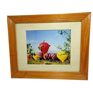Steamboat Springs Colorado Balloon Rodeo Framed Photo Print Hot Air Balloons